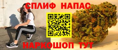 шишки Заводоуковск